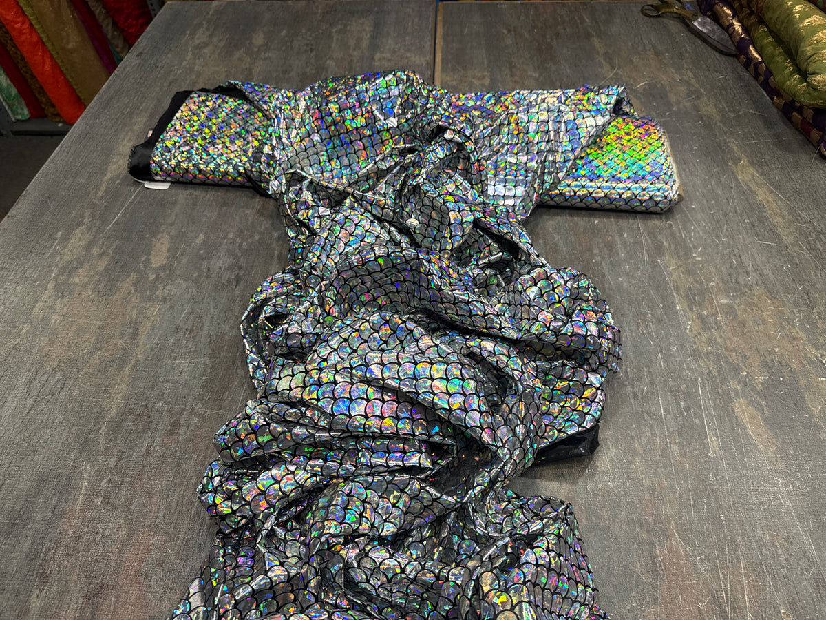 Holographic 0002